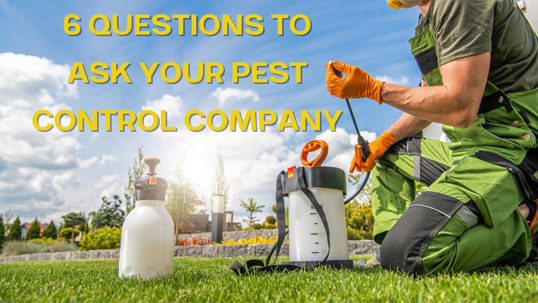 Six Questions to Ask Your Pest Control Company
